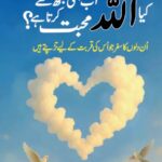 Kia Allah Ab Bhi Mujh Say Muhabbat Karta Hai