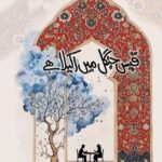 Qais Jungle Mein Akela Hai