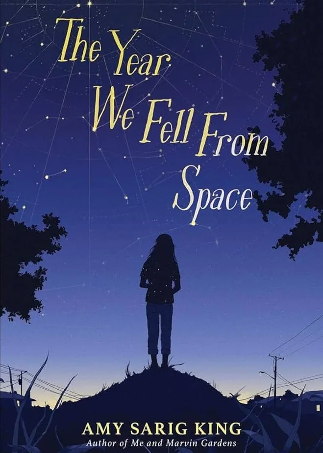 The Year We Fell From Space