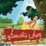Mian Nikhatu