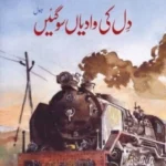 Dil Ki Waadian So Gaein