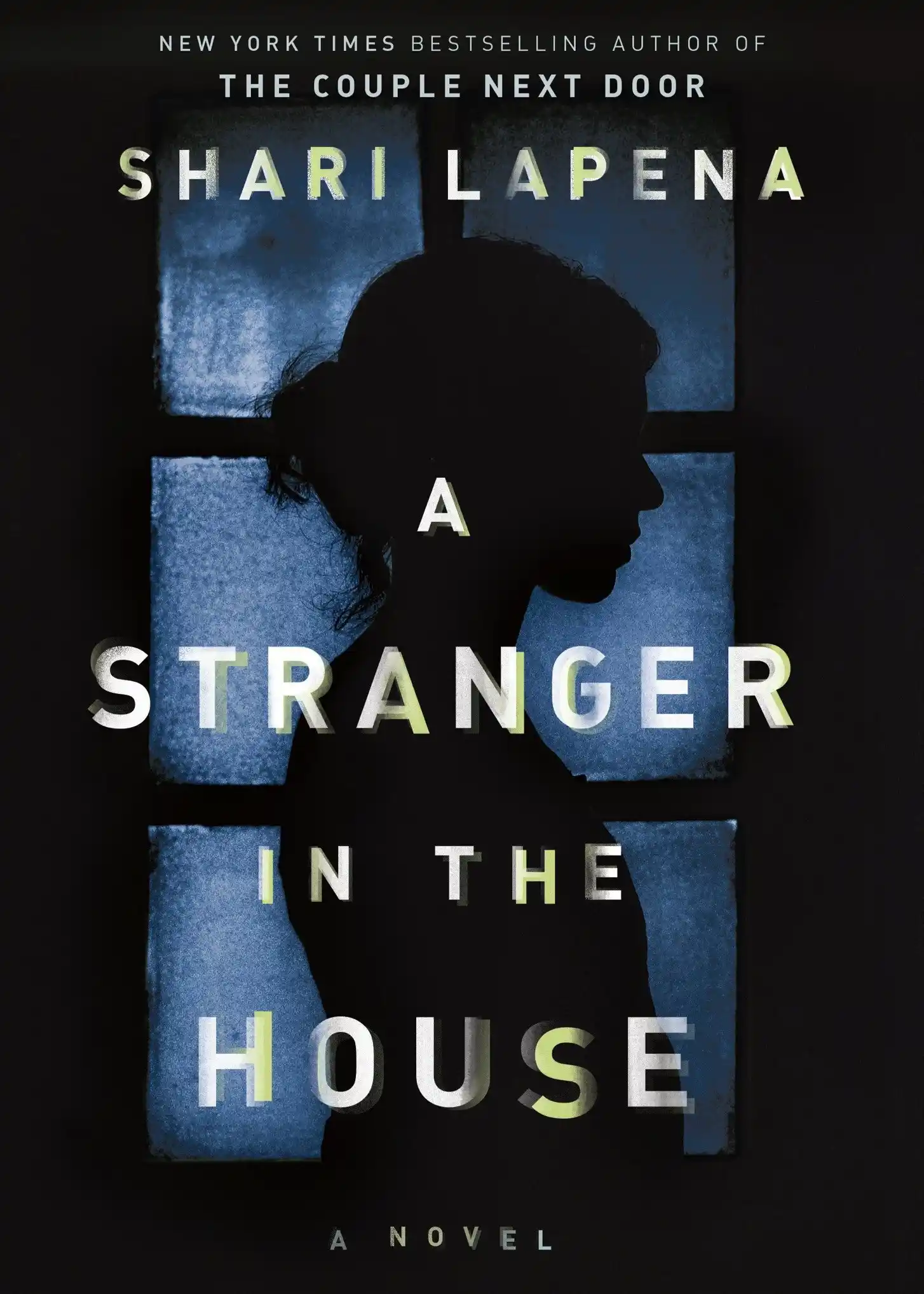 A Stranger in The House