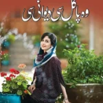 Wo Pagal Si Deewani Si
